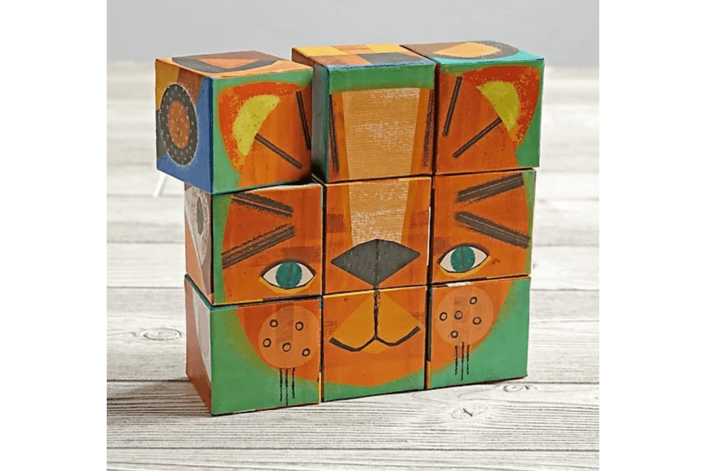 Make-A-Face Puzzle Blocks