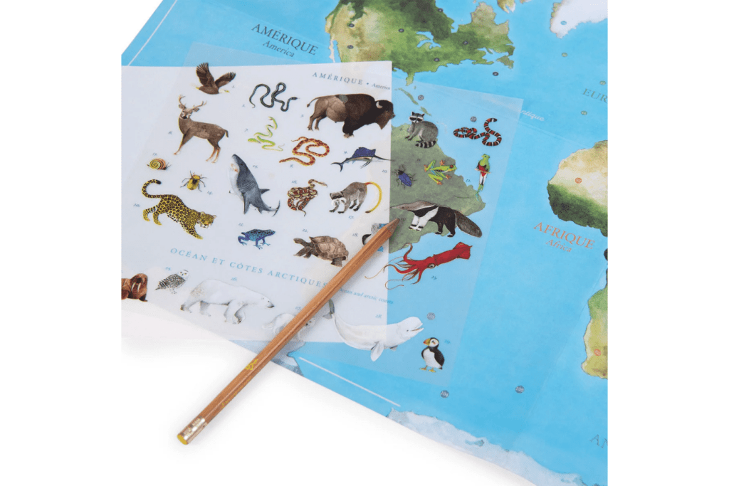 Moulin Roty Transfers