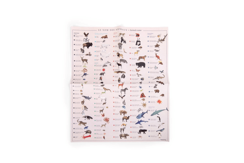 Moulin Roty Transfers