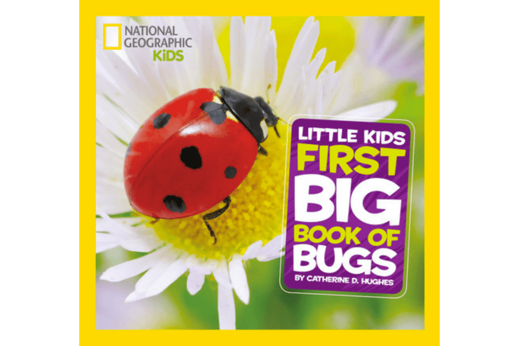 National Geographic Little Kids Frist Big Book of Bugs, best books for preschoolers, books with real photographs, reference books for kids, Montessori-friendly books, The Montessori Room, Toronto, Ontario, Canada. 