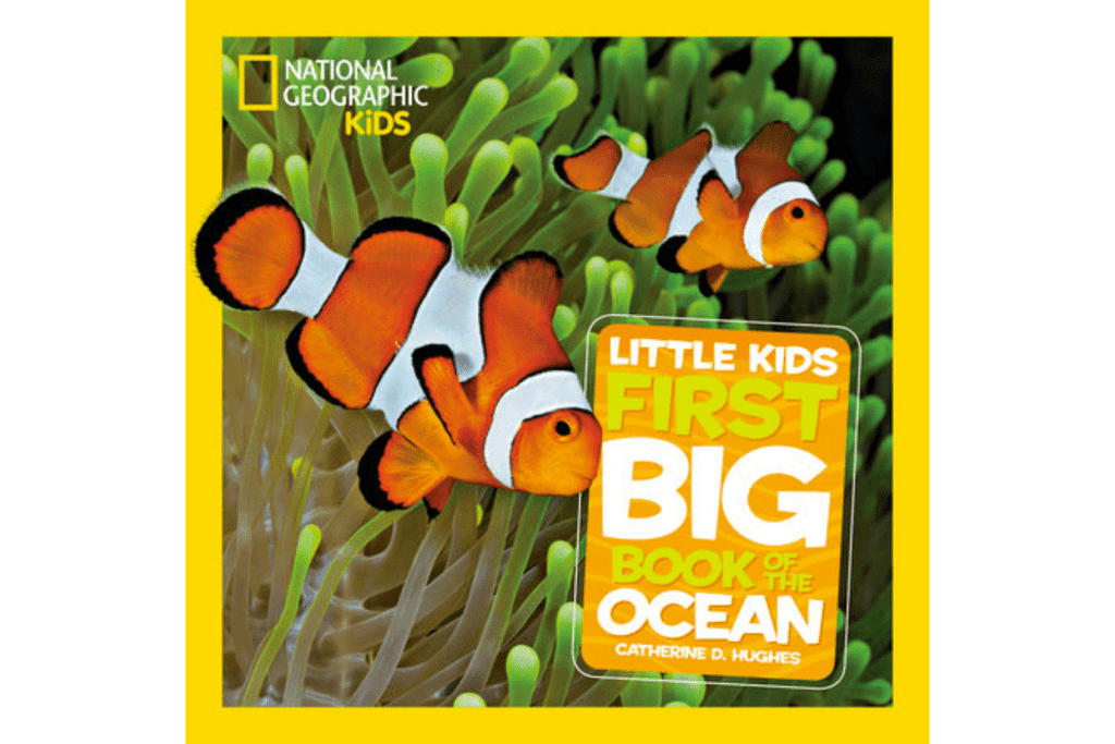 National Geographic Little Kids First Big Book of the Ocean, best books for preschoolers, books with real photographs, reference books for kids, Montessori-friendly books, The Montessori Room, Toronto, Ontario, Canada. 