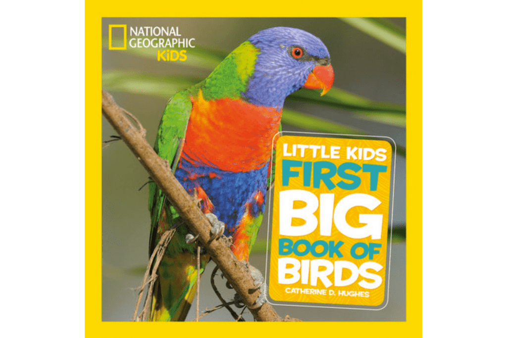 National Geographic's Little Kids First Big Book of Birds, best books for preschoolers, books with real photographs, reference books for kids, Montessori-friendly books, The Montessori Room, Toronto, Ontario, Canada. 