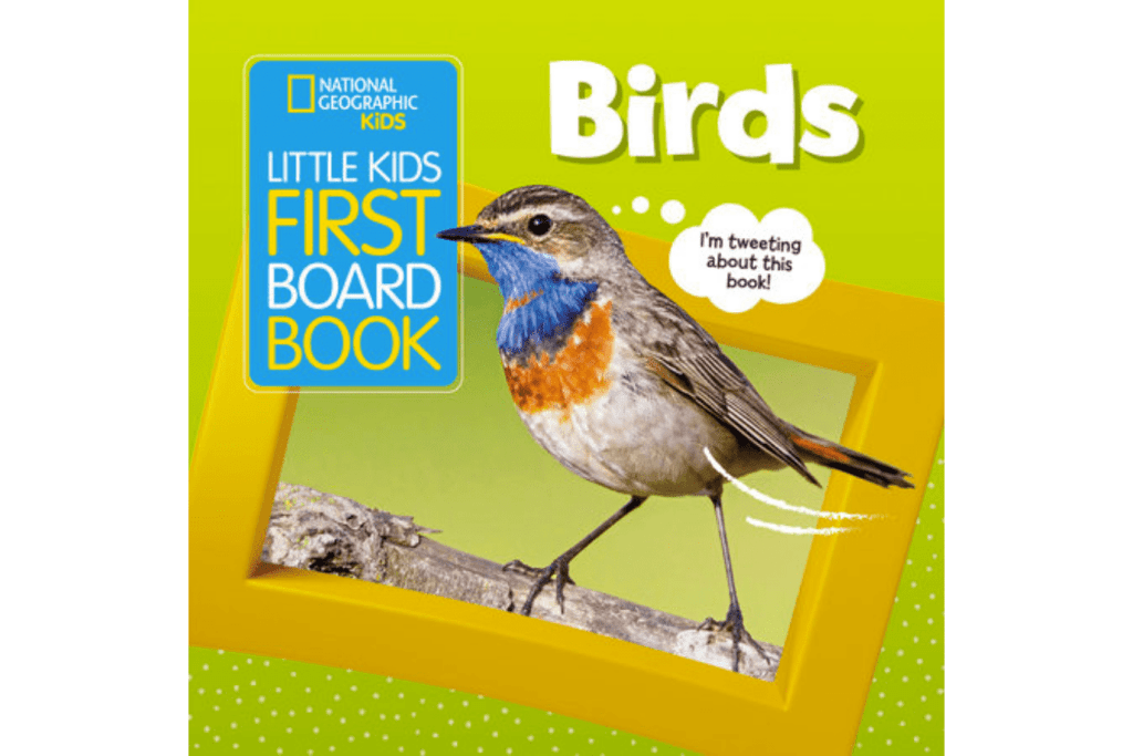 National Geographic&#39;s Little Kids Frist Board Book: Birds, books for infants and toddlers, best books for infants and toddlers, books with real photographs, Montessori-friendly books, The Montessori Room, Toronto, Ontario, Canada. 