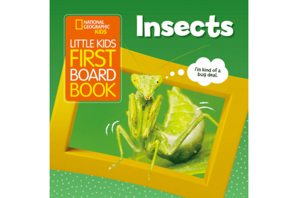 National Geographic's Little Kids First Board Book:  Insects, books for infants and toddlers, best books for infants and toddlers, books with real photographs, Montessori-friendly books, The Montessori Room, Toronto, Ontario, Canada.