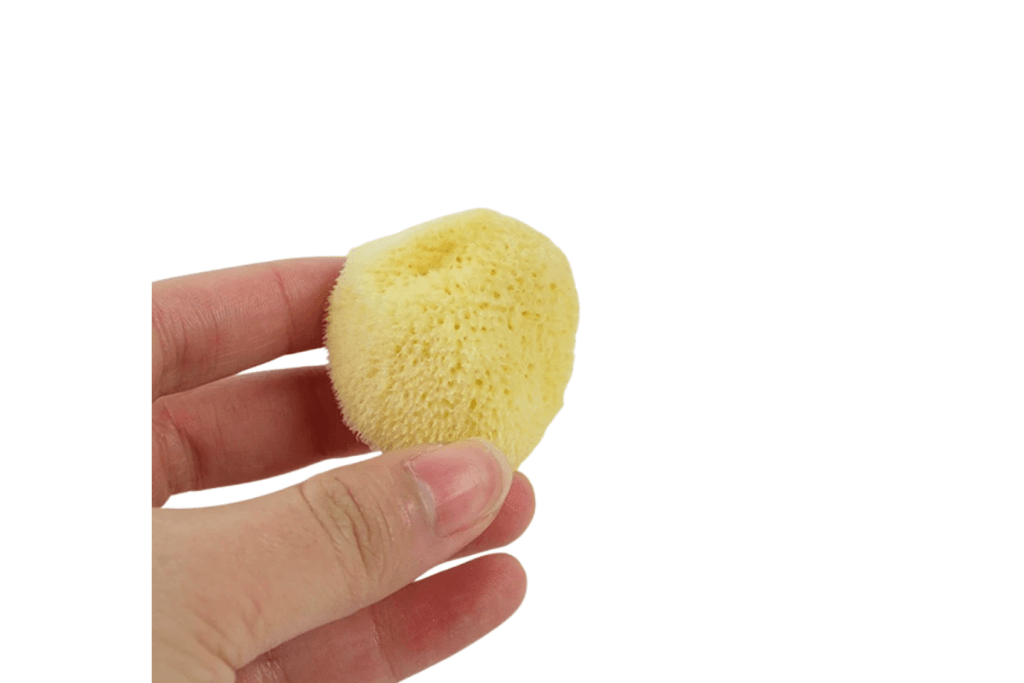 Natural Sea Sponge for Plant Care, Montessori practical life materials, Sponge for washing leaves, sponge for cleaning leaves, Montessori classroom packages, The Montessori Room, Toronto, Ontario, Canada. 