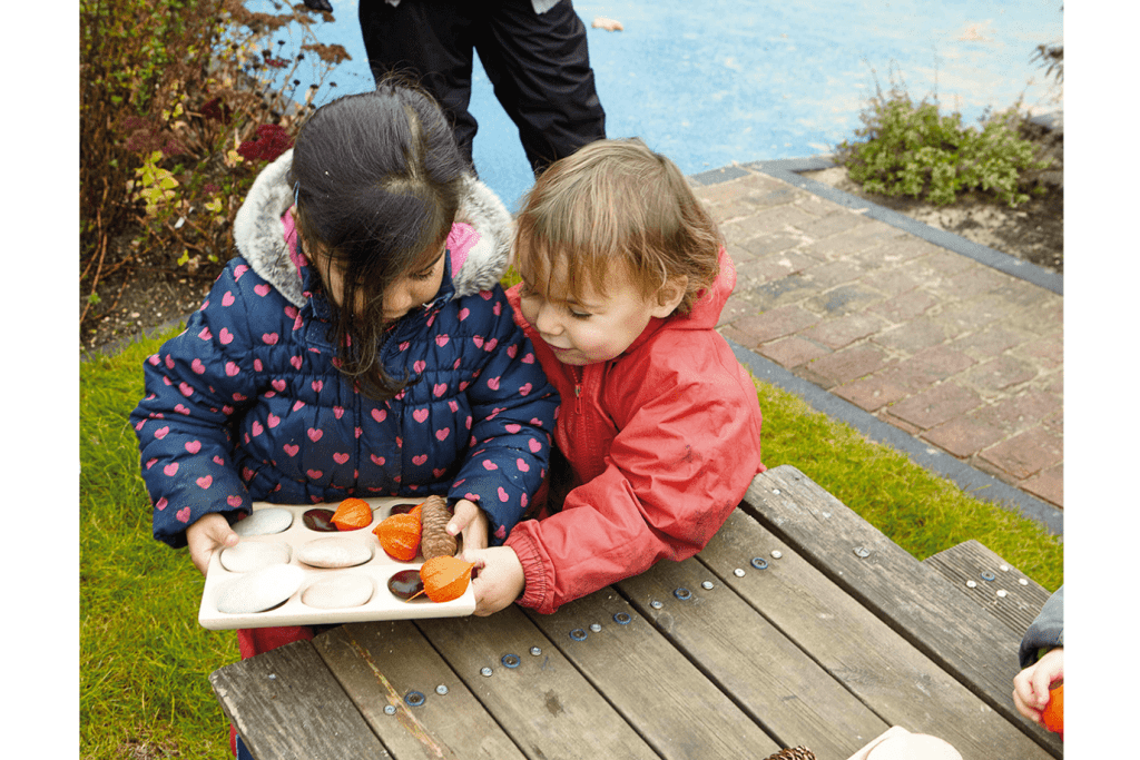 Natural Sorting Tray