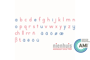 Nienhuis - Large Movable Alphabet (International Print)