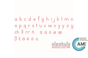Nienhuis - Small Movable Alphabet: International Print (Red or Black)