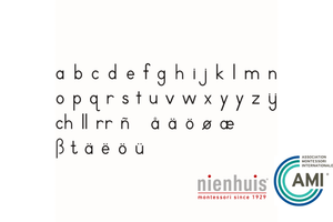 Nienhuis - Small Movable Alphabet: International Print (Red or Black)