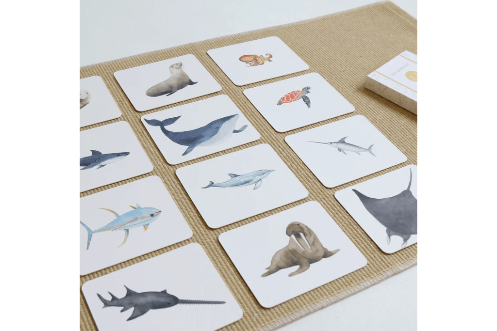 Nomenclature Cards (Multiple Themes Available)