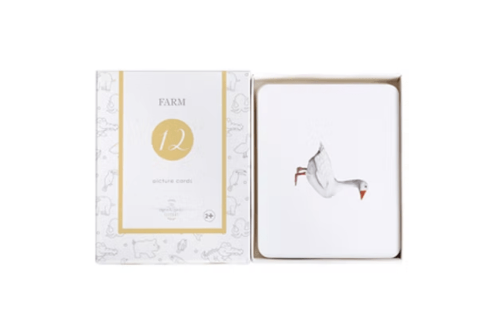 Nomenclature Cards (Multiple Themes Available)