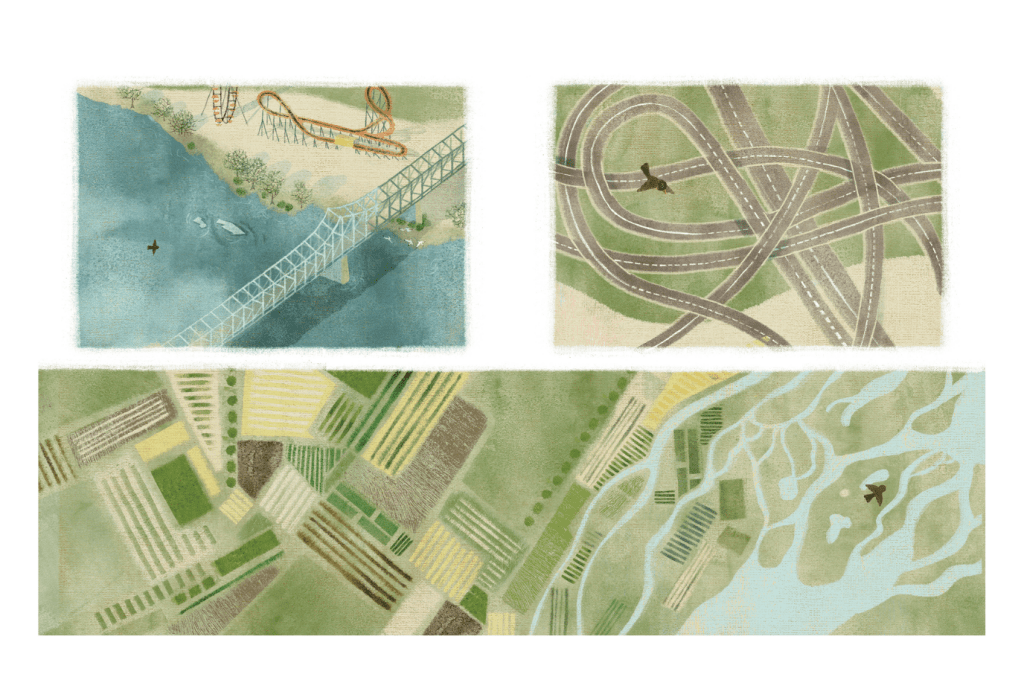 Once, a Bird: A Book About Birdwatching [Hardcover]