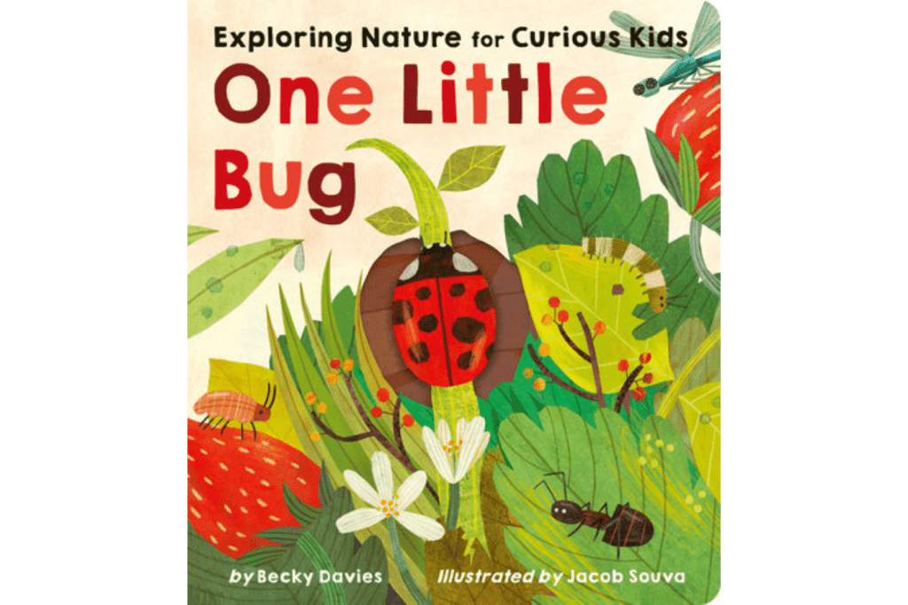 One Little Bug by Becky Davies, board book, books about nature for toddlers, books about insects, books about bugs, The Montessori Room, Toronto, Ontario, Canada. 