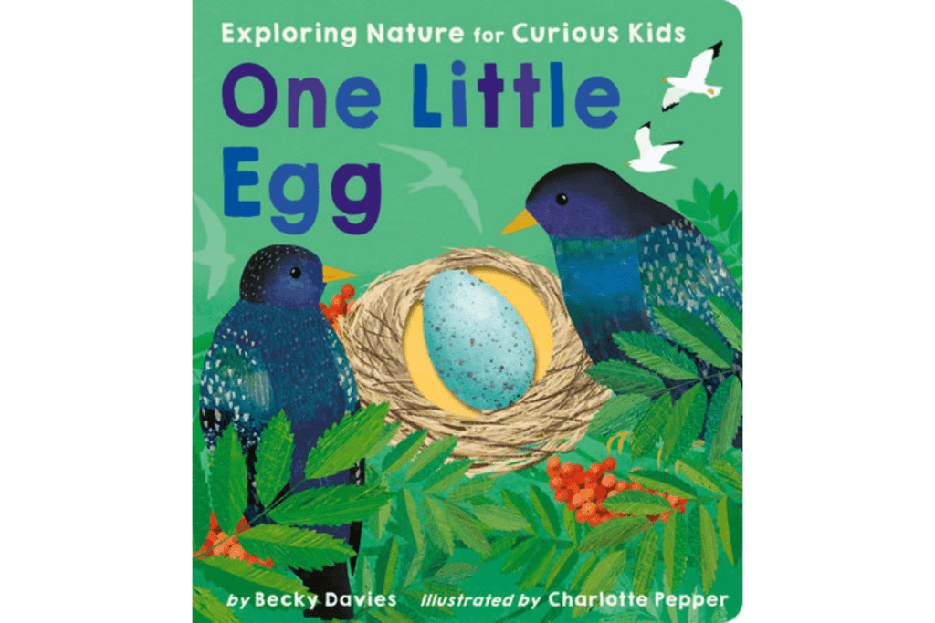 One Little Egg by Becky Davies, Board Book, books about birds for toddlers, books about nature, The Montessori Room, Toronto, Ontario, Canada. 