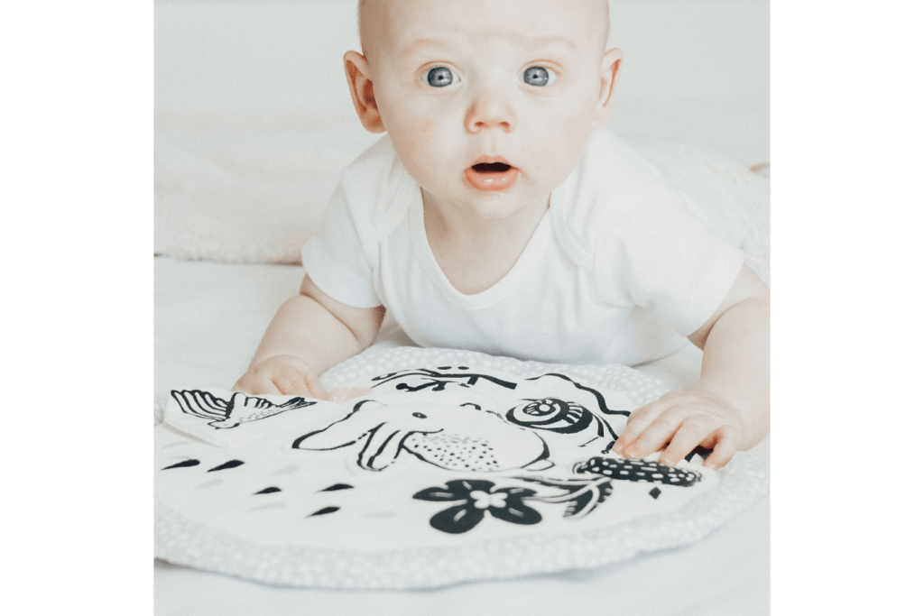 Organic Activity Pad - Meadow