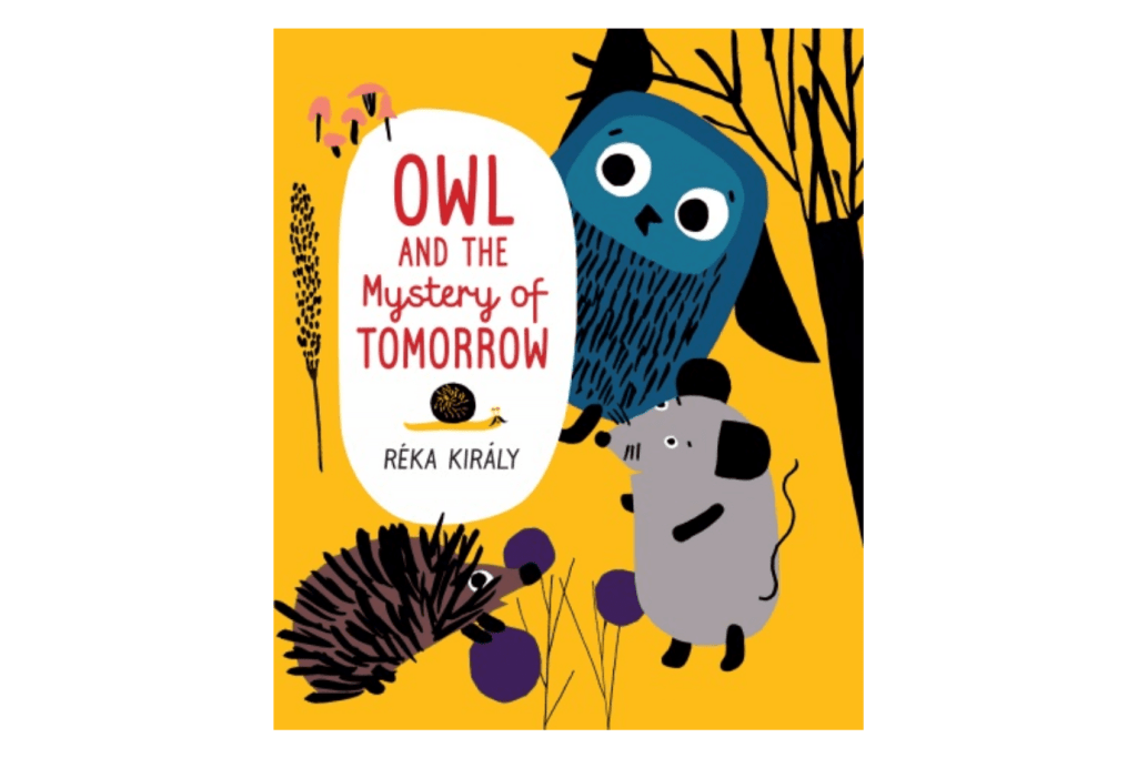 Owl and the Mystery of Tomorrow by Réka Király, books to help teach kids about time, teach kids about today tomorrow yesterday, how to explain what tomorrow means to kids, how to teach kids about tomorrow yesterday, teach kids about time, a book to teach kids about time, books to teach kids about time, Toronto, Canada