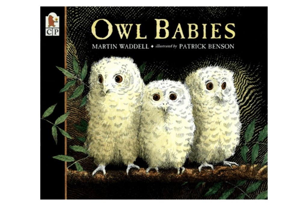 Penguin Random House Softcover Owl Babies by Martin Waddell