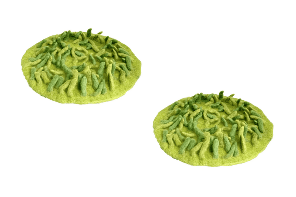 Papoose Fantasy Bundles