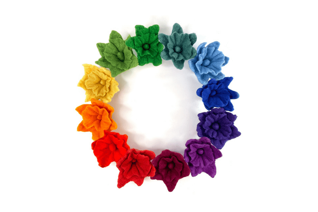 Papoose Rainbow Sorting Materials