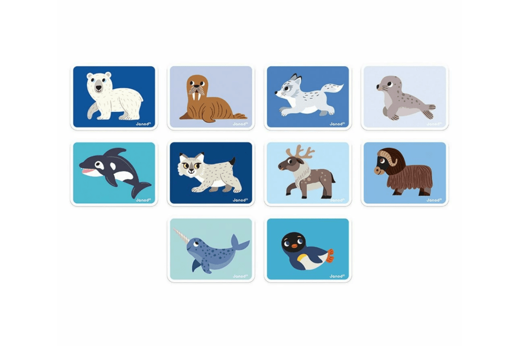 Polar Animals Magneti'book