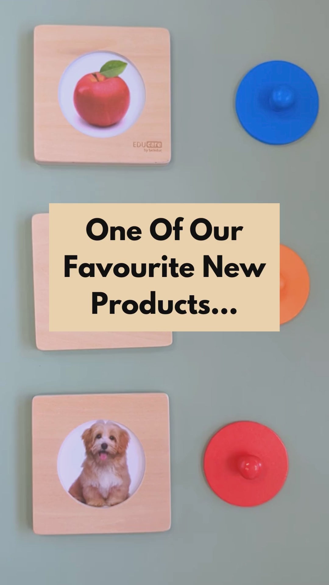 Guess Who Knob Puzzles