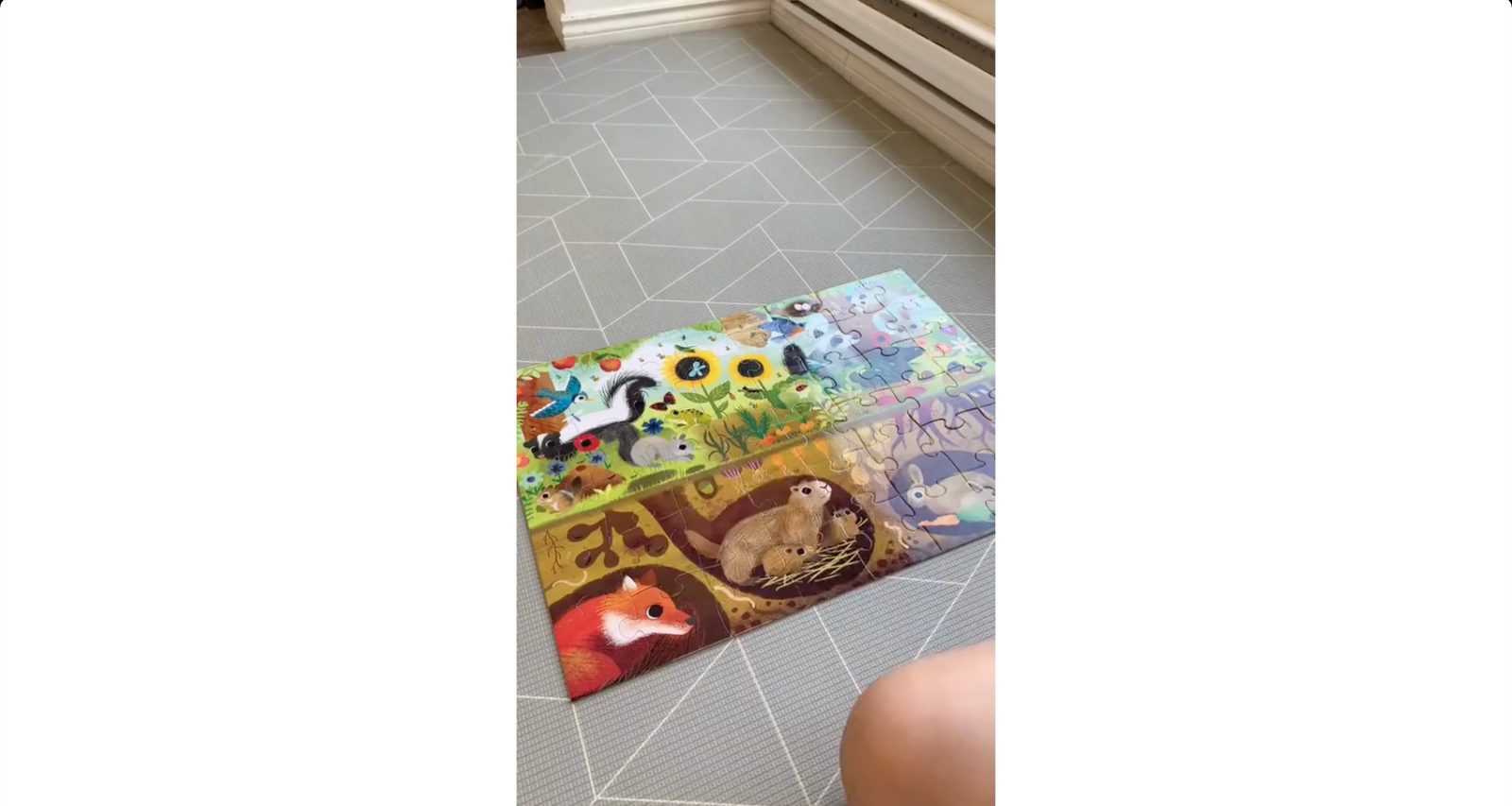 Crocodile Creek Above & Below Puzzles (48 Pieces, Ages 4-6)