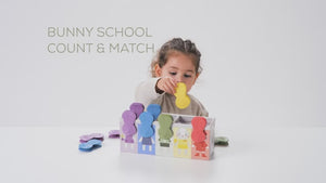 Match & Count Bunny Toy