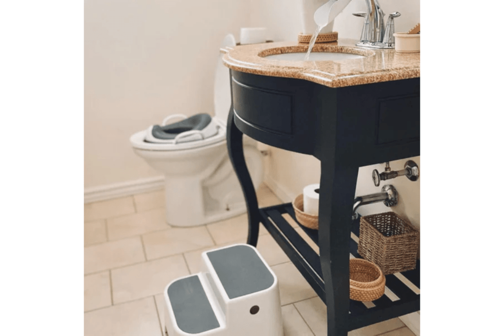 Prince Lionheart Potty Seat