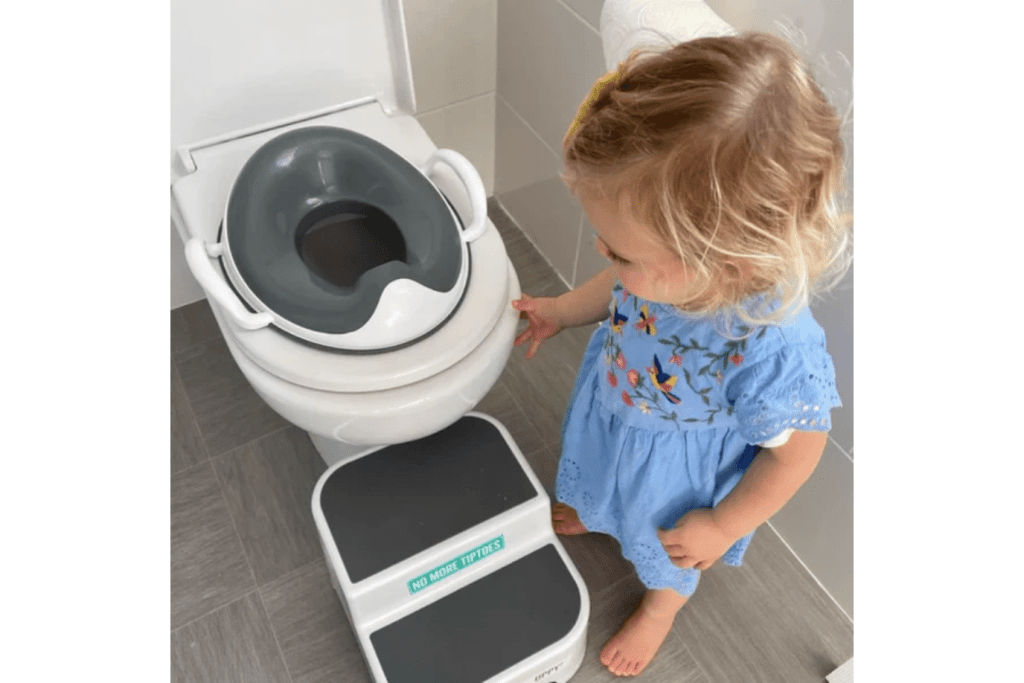 Prince Lionheart Potty Seat