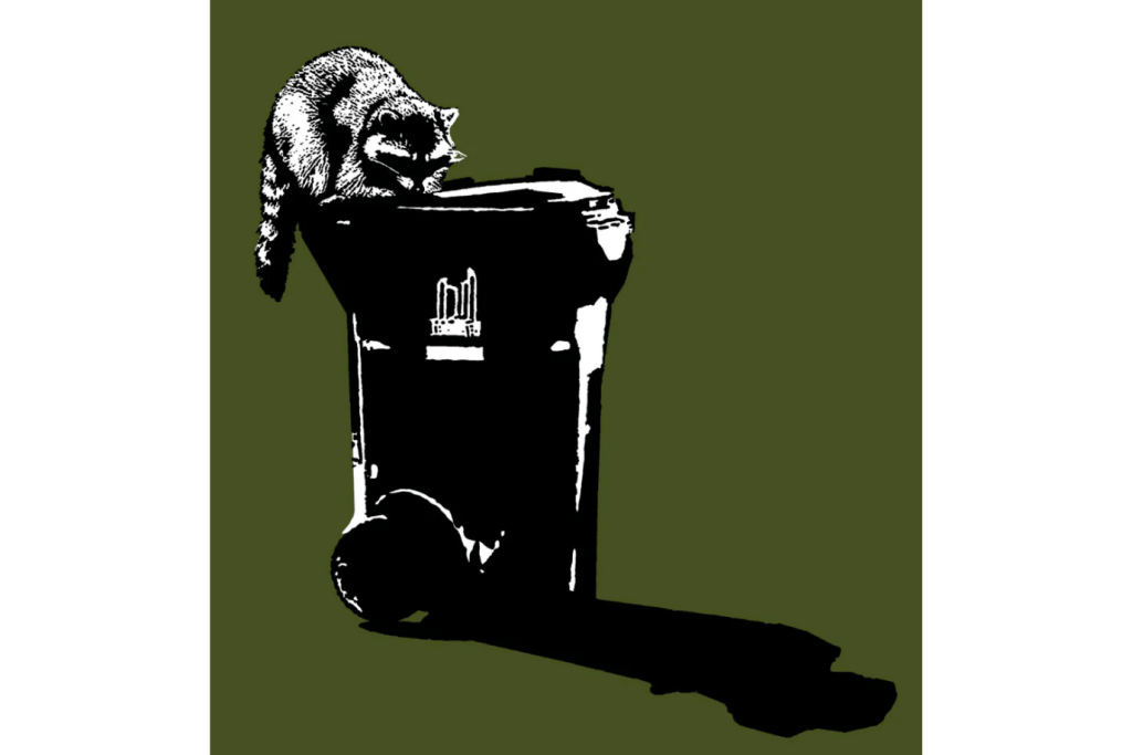 Raccoon Kids T-Shirt