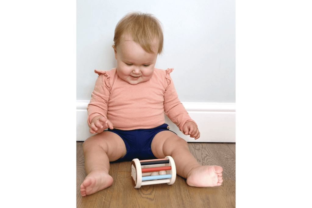 Rolling Kitten Rattle