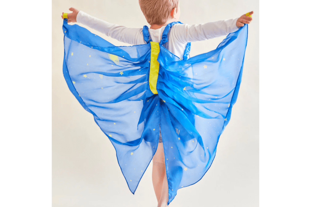 Sarah's Silks Fairy Wings