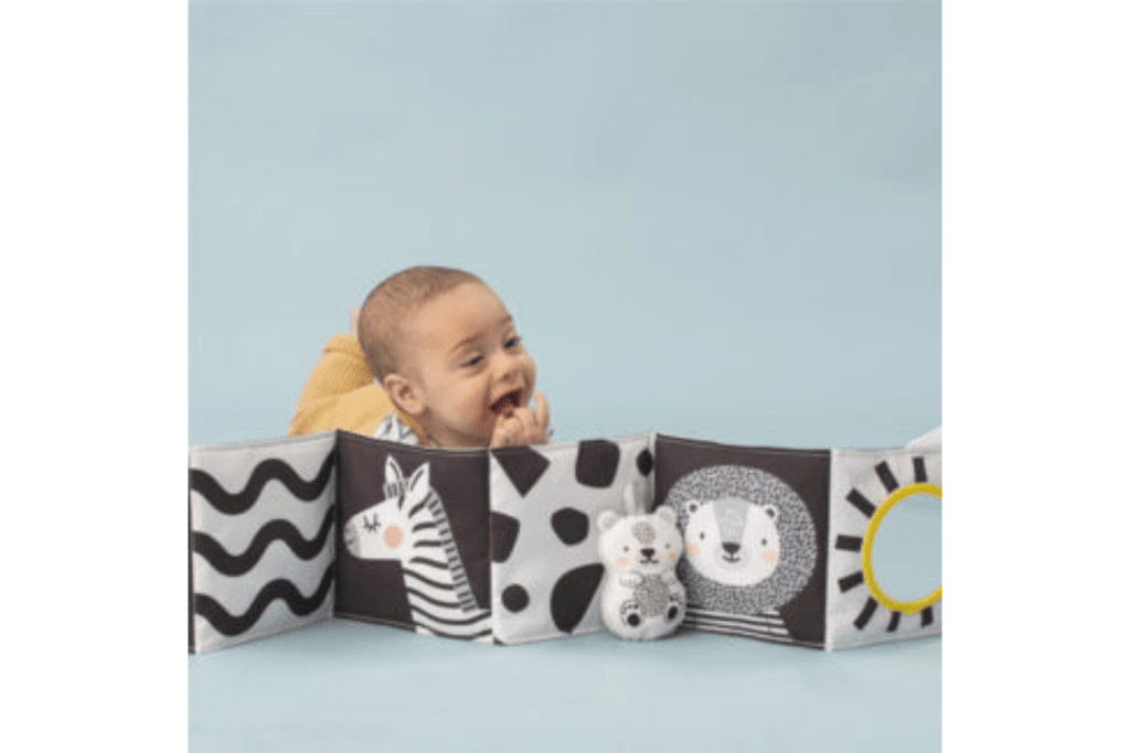 Savannah Black & White Book