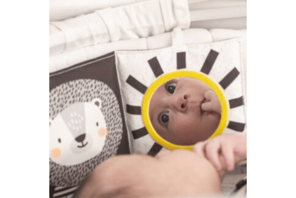 Savannah Black & White Book