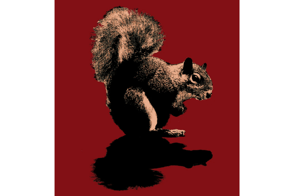 Squirrel Kids T-Shirt