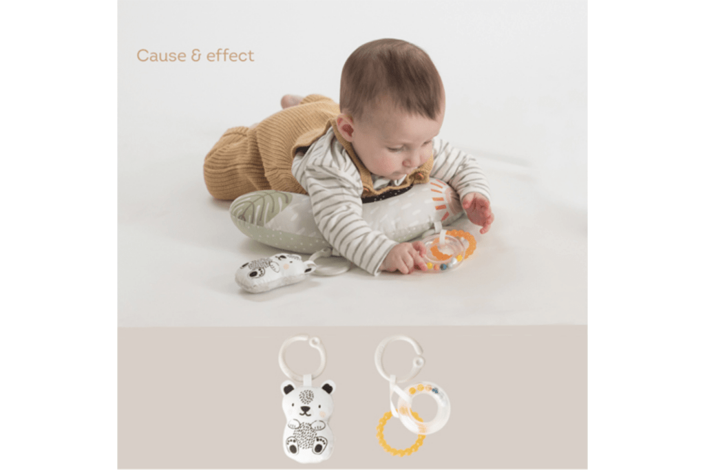 Taf Toys Newborn Develop & Play Kit