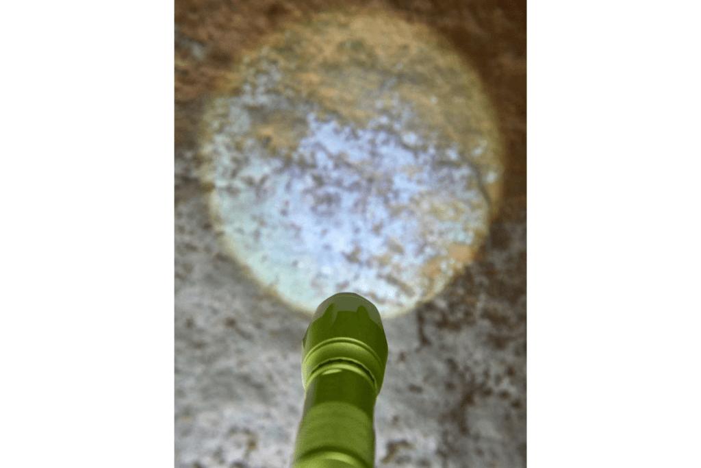 Haba Terra Kids 4-Way Flashlight