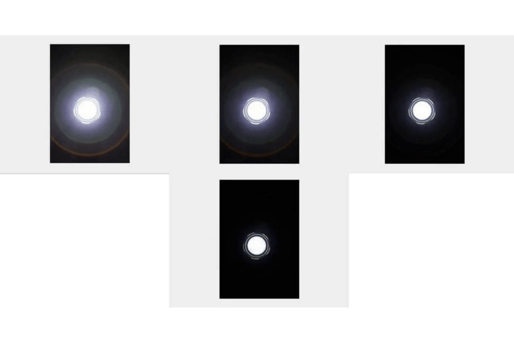 Haba Terra Kids 4-Way Flashlight