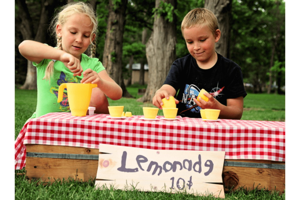 The Lemonade Set - Food Safe Set