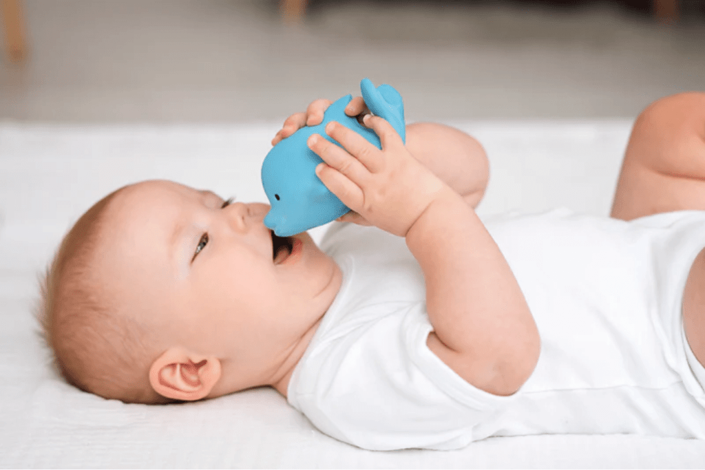 Tikiri Organic Natural Rubber Teether & Bath Toy