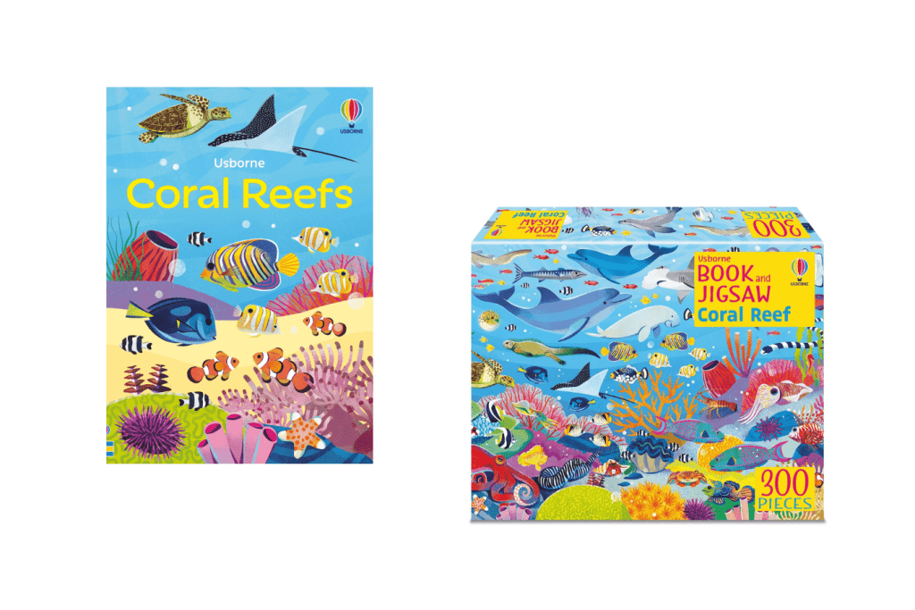 Usborne Picture Puzzles: Book + Puzzle