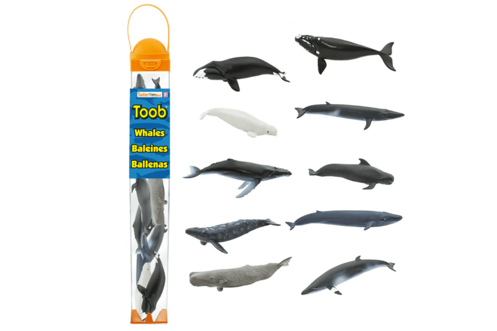 Whales Toob, Safari LTD, Language materials, Montessori language materials, whale figurines, imagination, realistic figurines,  3 years and up, Free Nomenclature Cards, The Montessori room, Toronto, Ontario, Canada. 