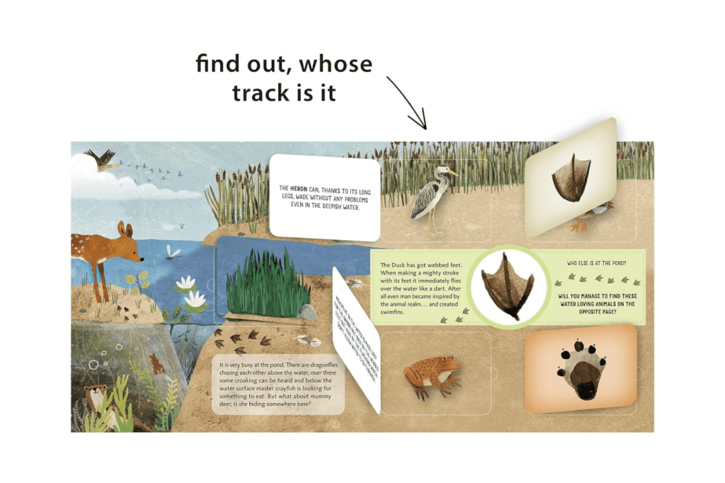 Whose Track Is It? [Board Book]