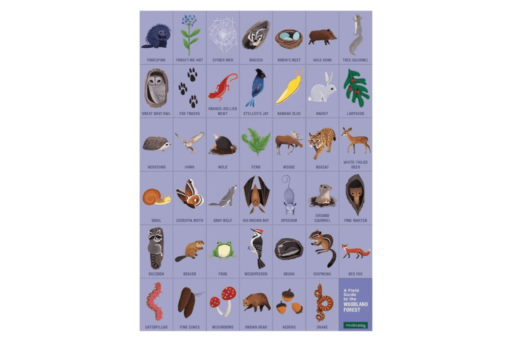 Woodland Forest Search & Find Puzzle
