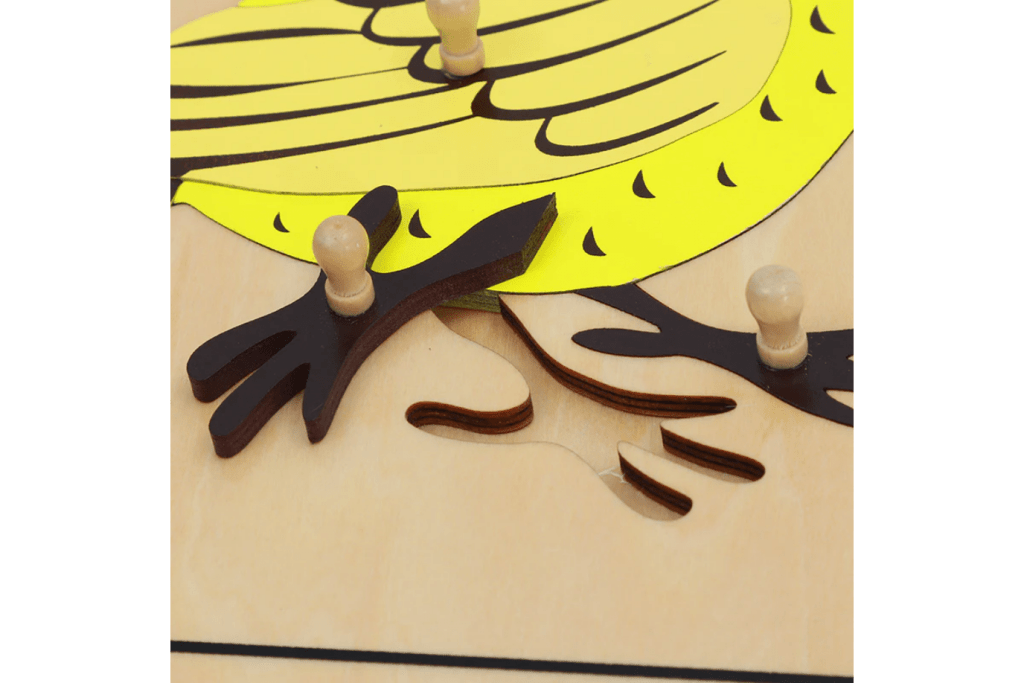 Zoology Puzzle - Parts of the Bird