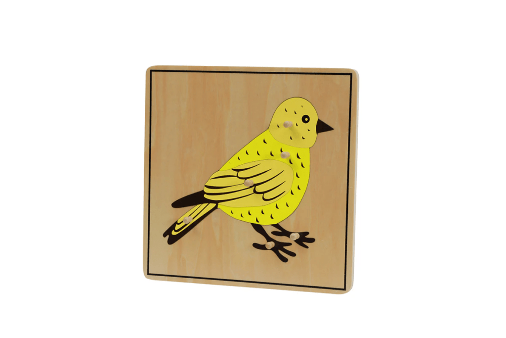 Zoology Puzzle - Parts of the Bird, Montessori classroom materials, Casa Biology materials, budget-friendly Montessori materials, The Montessori Room, Toronto, Ontario, Canada. 