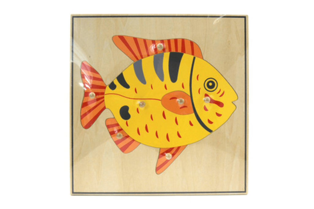 Zoology Puzzle - Parts of the Fish, Montessori classroom materials, Casa Biology Materials, budget-friendly Montessori materials, The Montessori Room, Toronto, Ontario, Canada. 