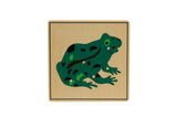 Zoology Puzzle - Parts of the Frog