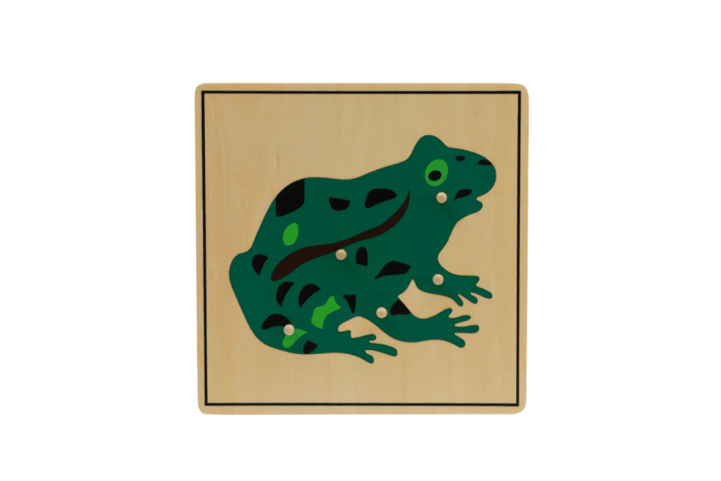Zoology Puzzle - Parts of the Frog, Montessori classroom materials, Casa Biology materials, budget-friendly Montessori materials, The Montessori Room, Toronto, Ontario, Canada. 