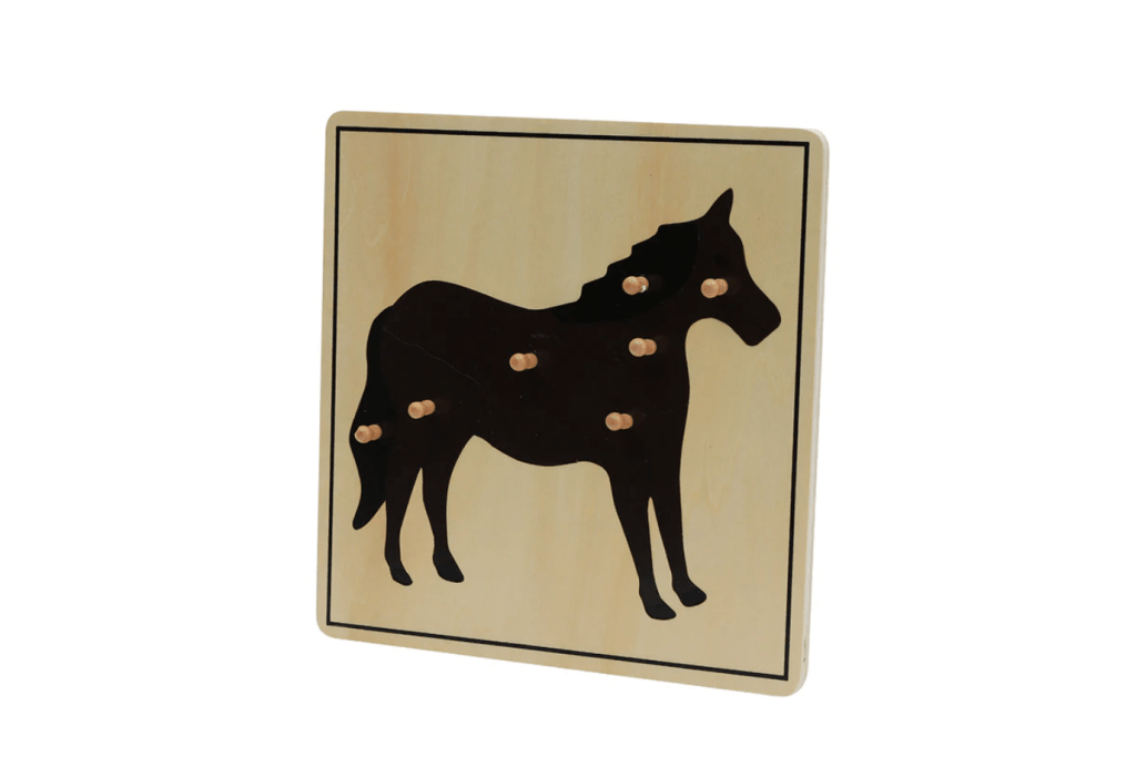 Zoology Puzzle - Parts of the Horse